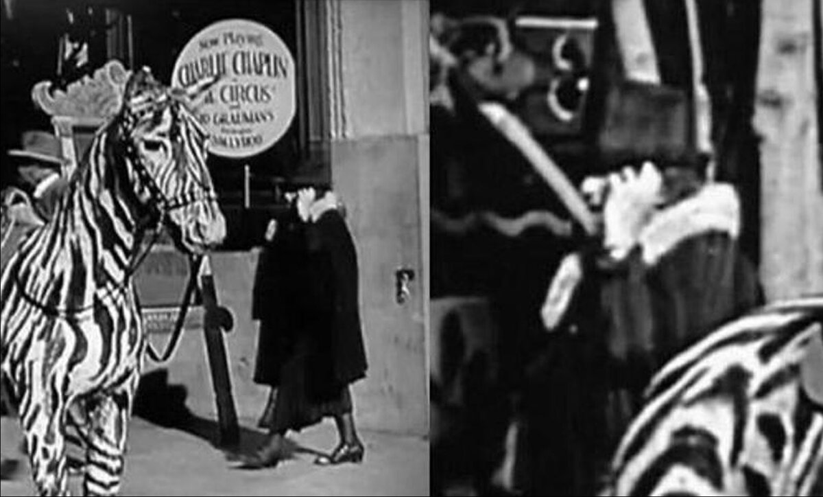 Как переместиться во времени. Цирк Чарли Чаплин 1928. Чарли Чаплин путешествие во времени. Путешествие во времени.