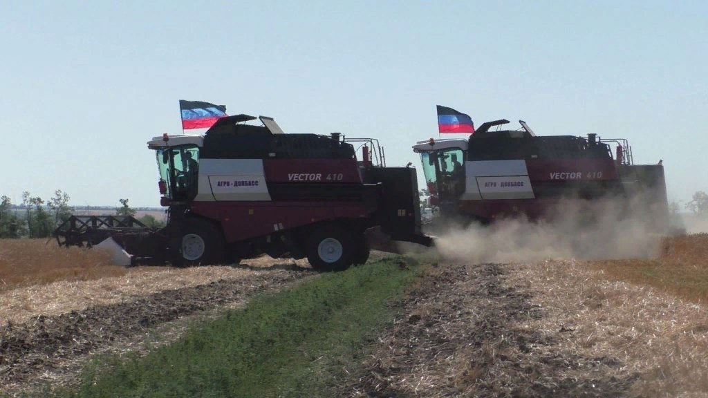 Сельхоз предприятия в ДНР получили субсидии на поддержку овощеводства