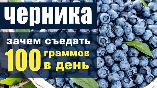 Черника – для чего нужно съедать 100 граммов в день?