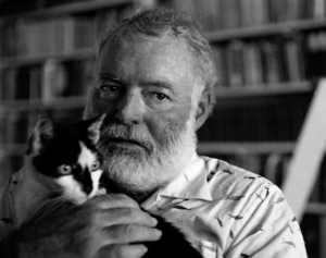 E-mail подписка «Шуфлядка» chabarova  📷
