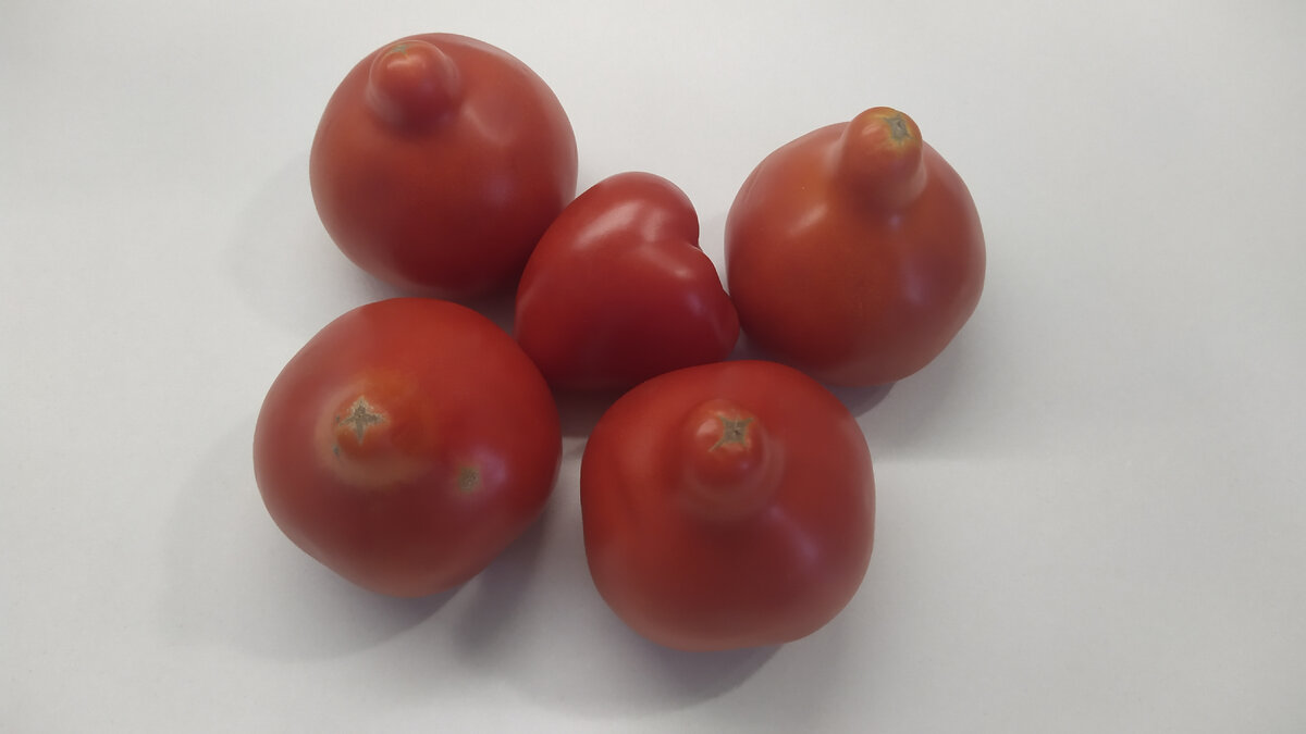 Очень ароматные помидоры