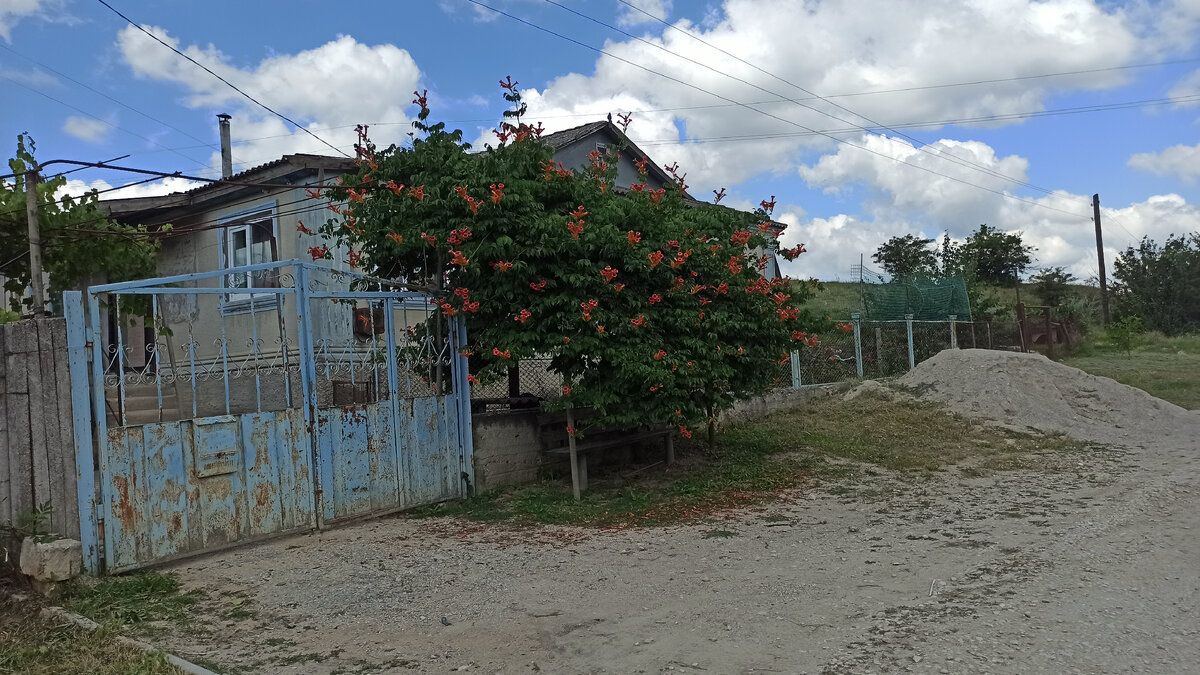 Скамеечка под цветущим деревом