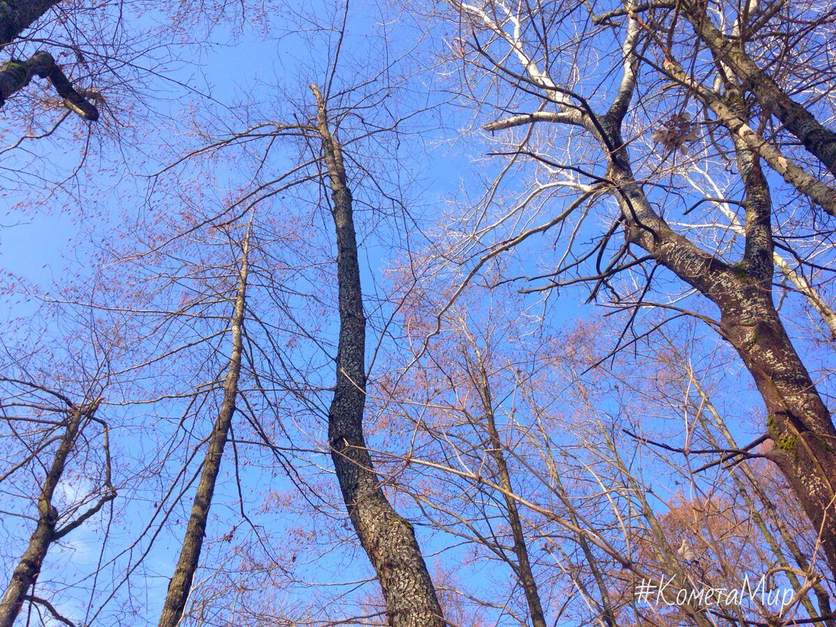 Владимир Смирнов - Как я летал