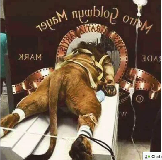 Наверняка вы это фото видели раньше.