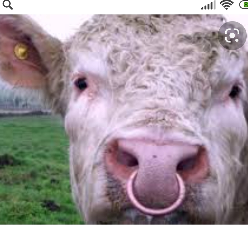 Из интернета 