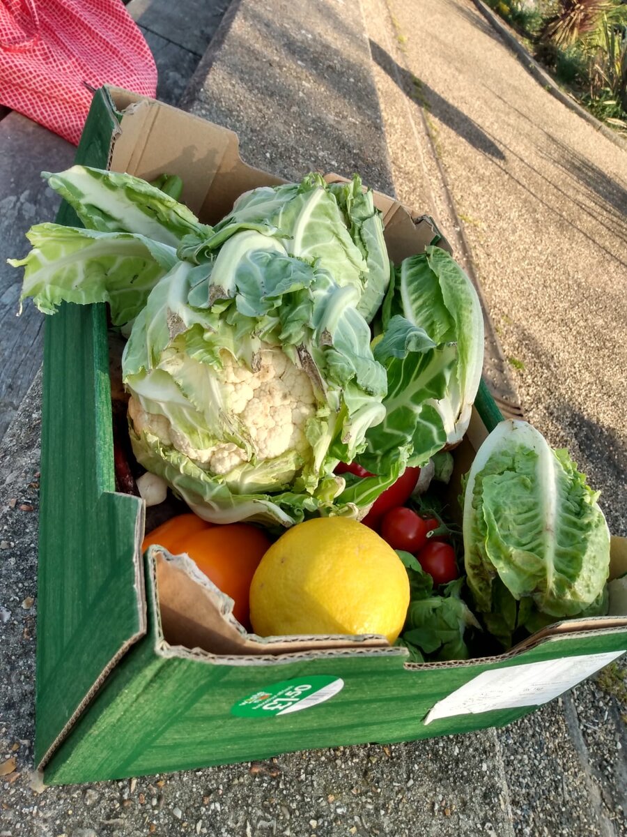 £1.50, тяжеленькая 4 кг, на руках только до машины. Фото из личного архива 