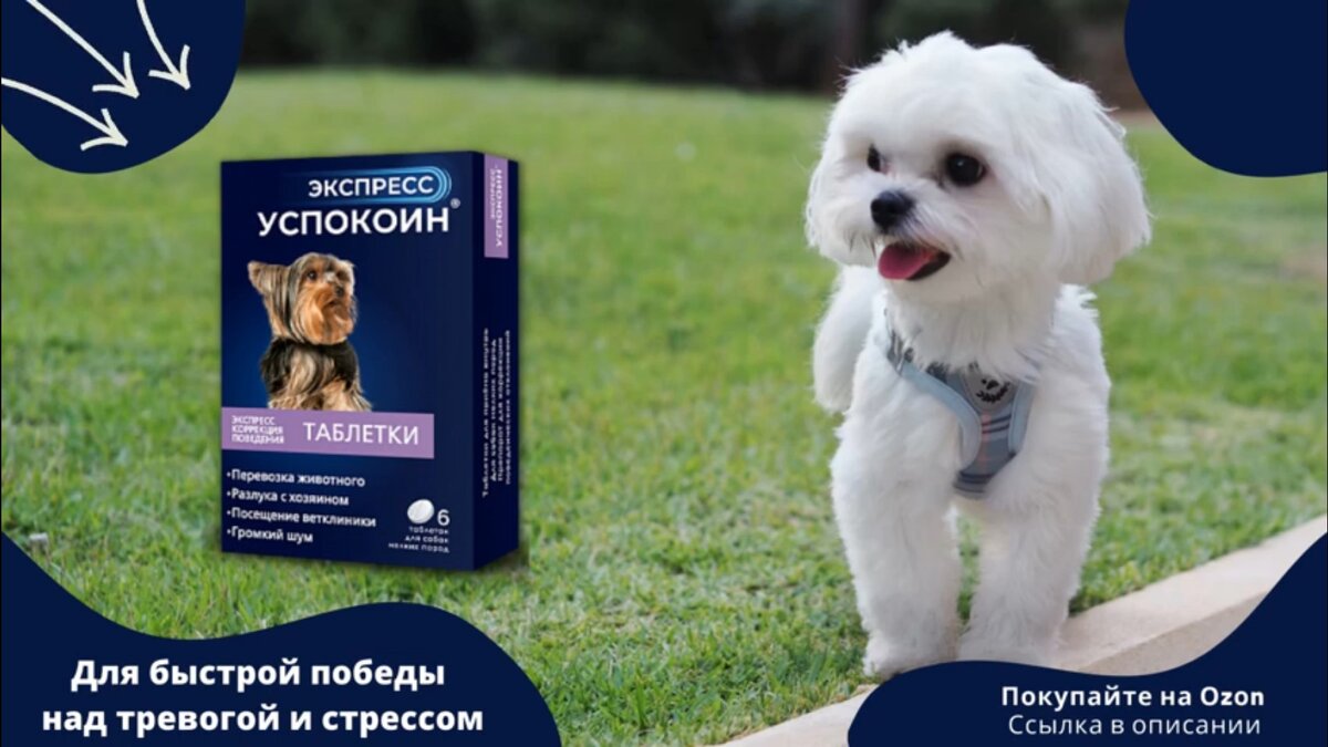 Экспресс Успокоин для собак мелких пород