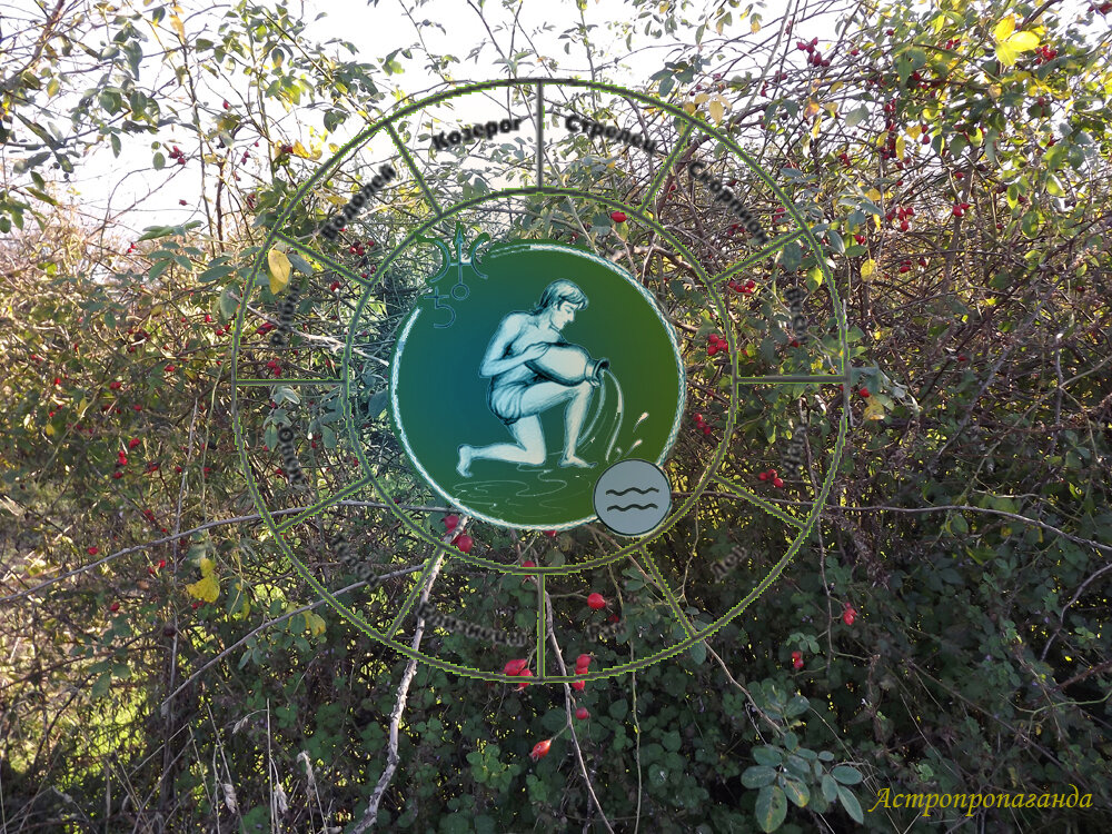 Коллаж Нины Стрелковой. 