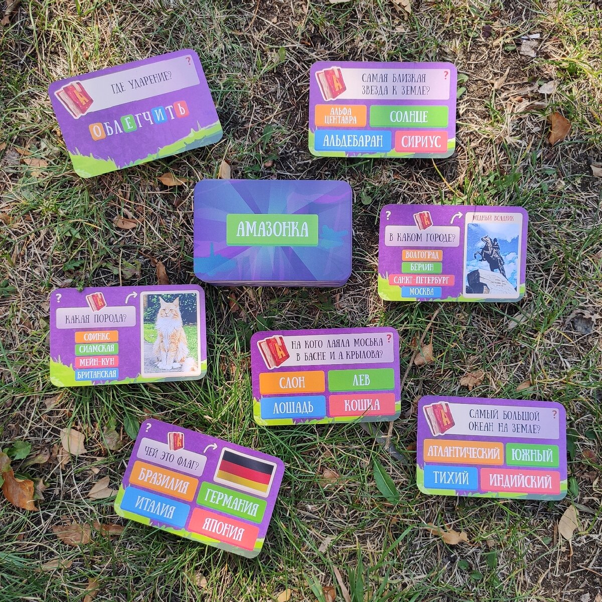 Вопросы на разные темы.