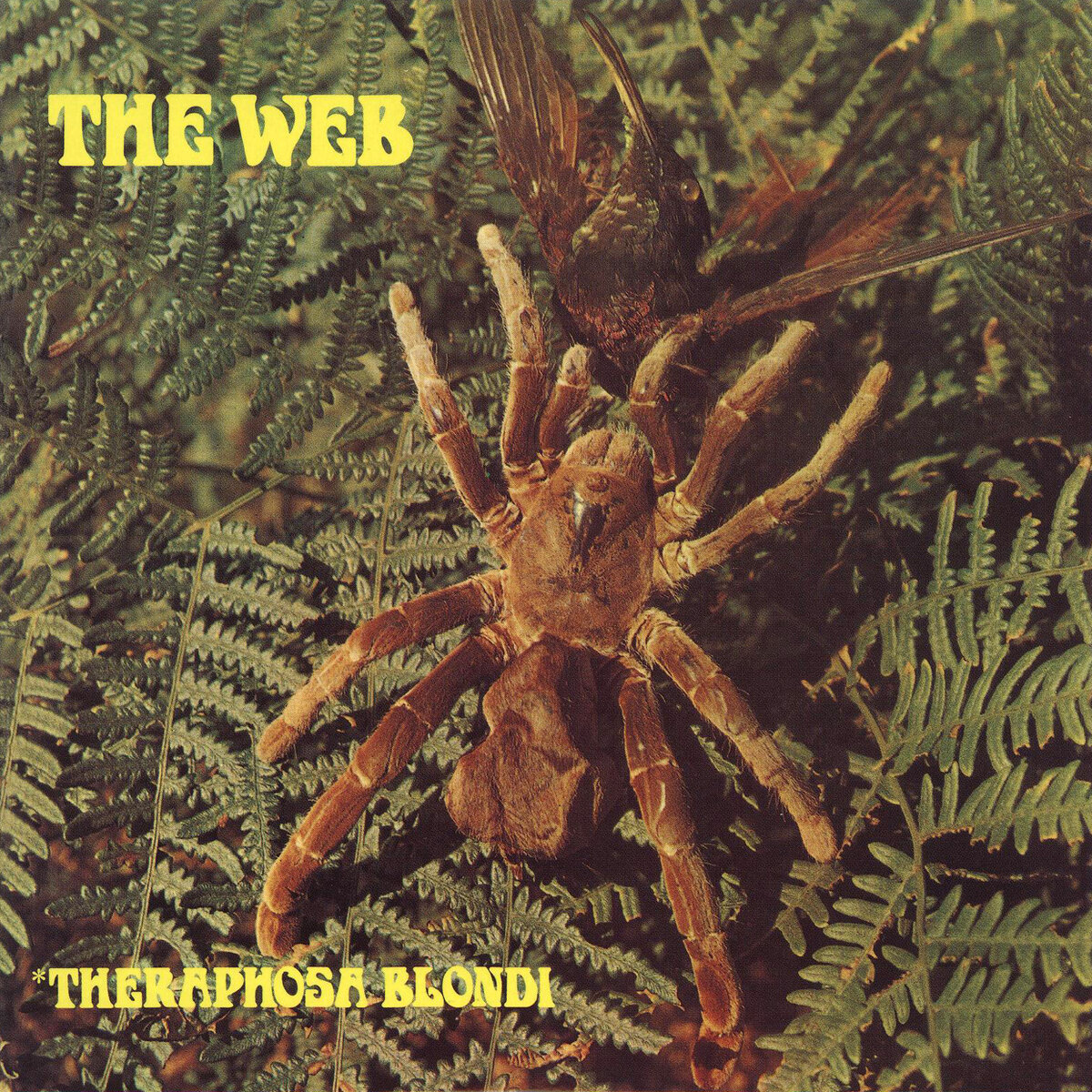 Prog Island: До всемирной паутины (часть 2): THE WEB 