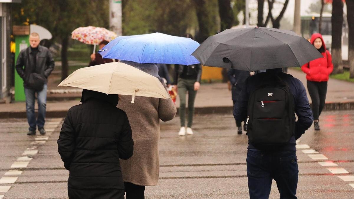    Люди с зонтиками переходят дорогу NUR.KZ / Петр Карандашов