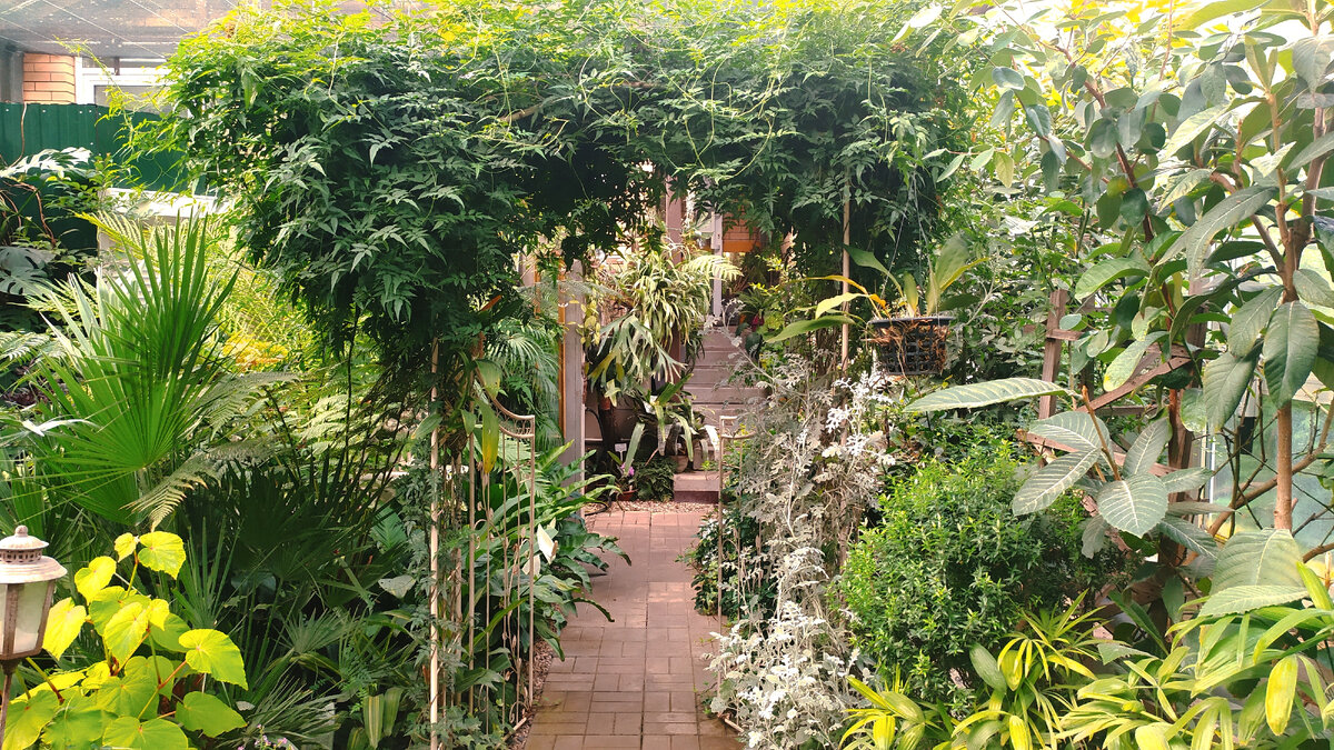 Все фото автора статьи.