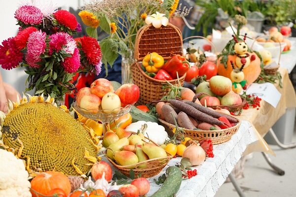 Продукты на ярмарке. Фото pibig.info