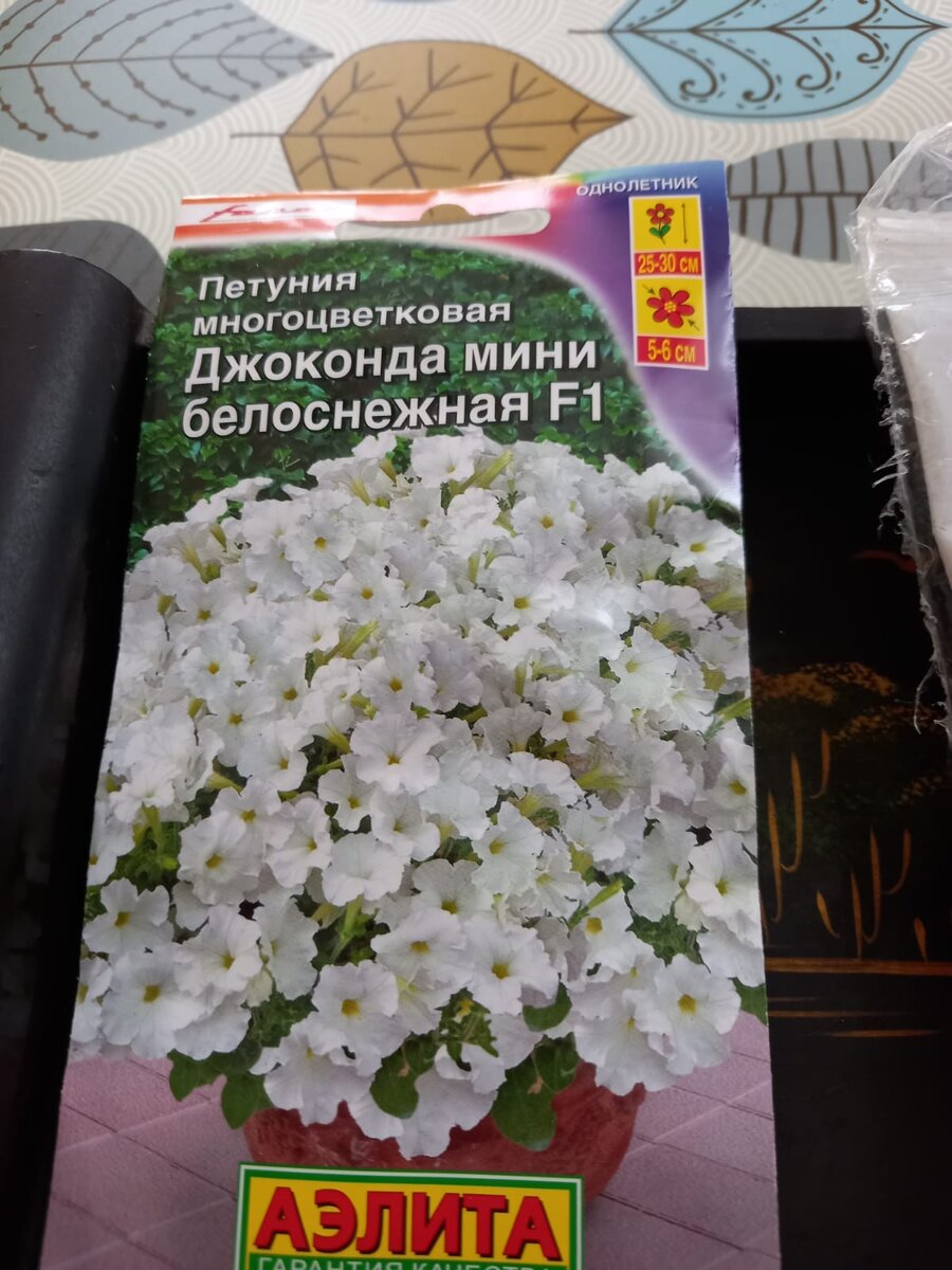 Очень люблю белую петунию
