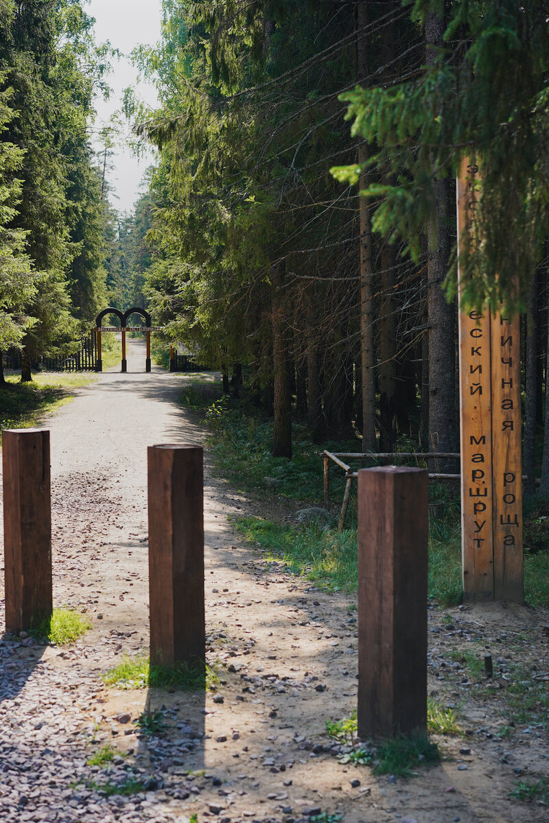 Ограничители, чтобы люди не подъезжали на машинах к воротам