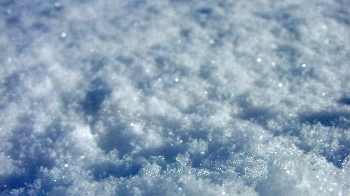 Фото: pxhere.com