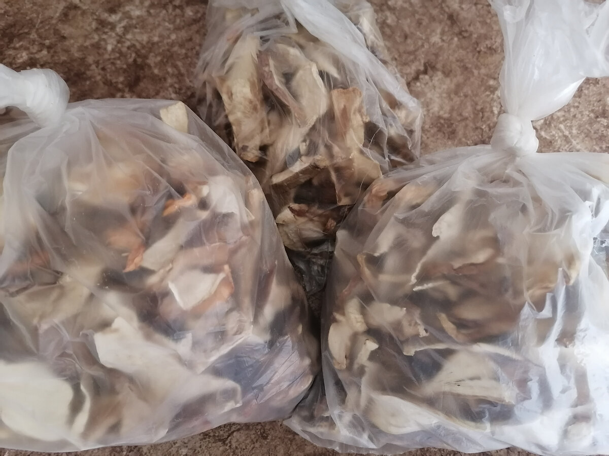 Сушеные грибы лежат в пакетах - я пока не определилась, как буду их хранить