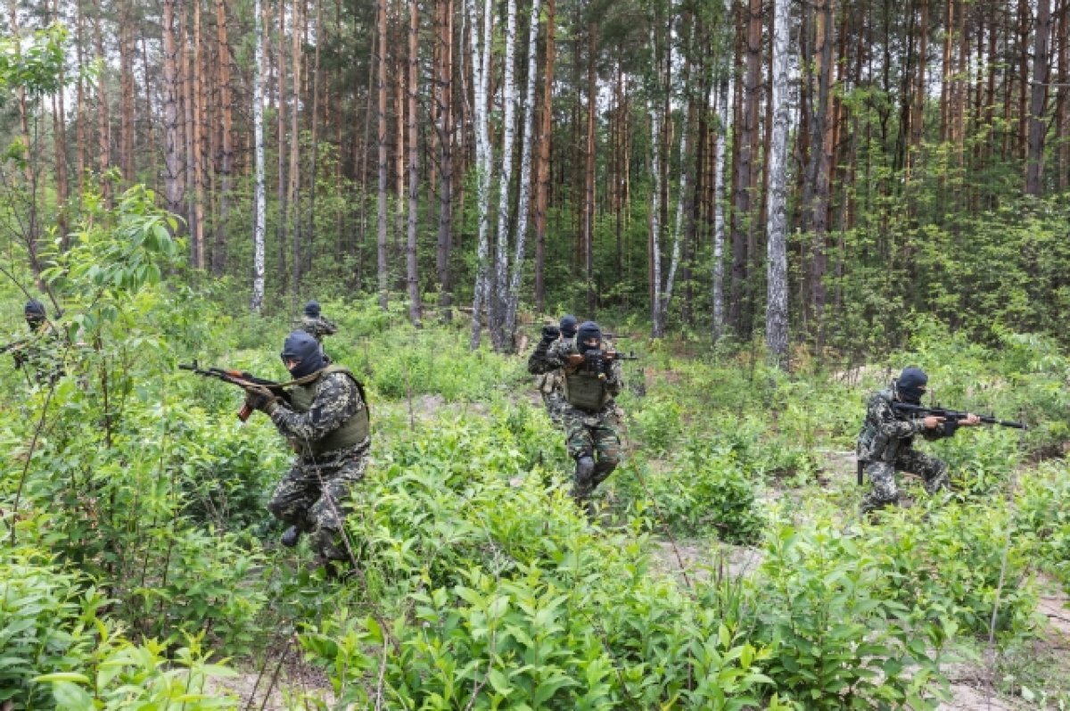    Эксперт Поликарпов рассказал, почему на Украине стало меньше западных ЧВК