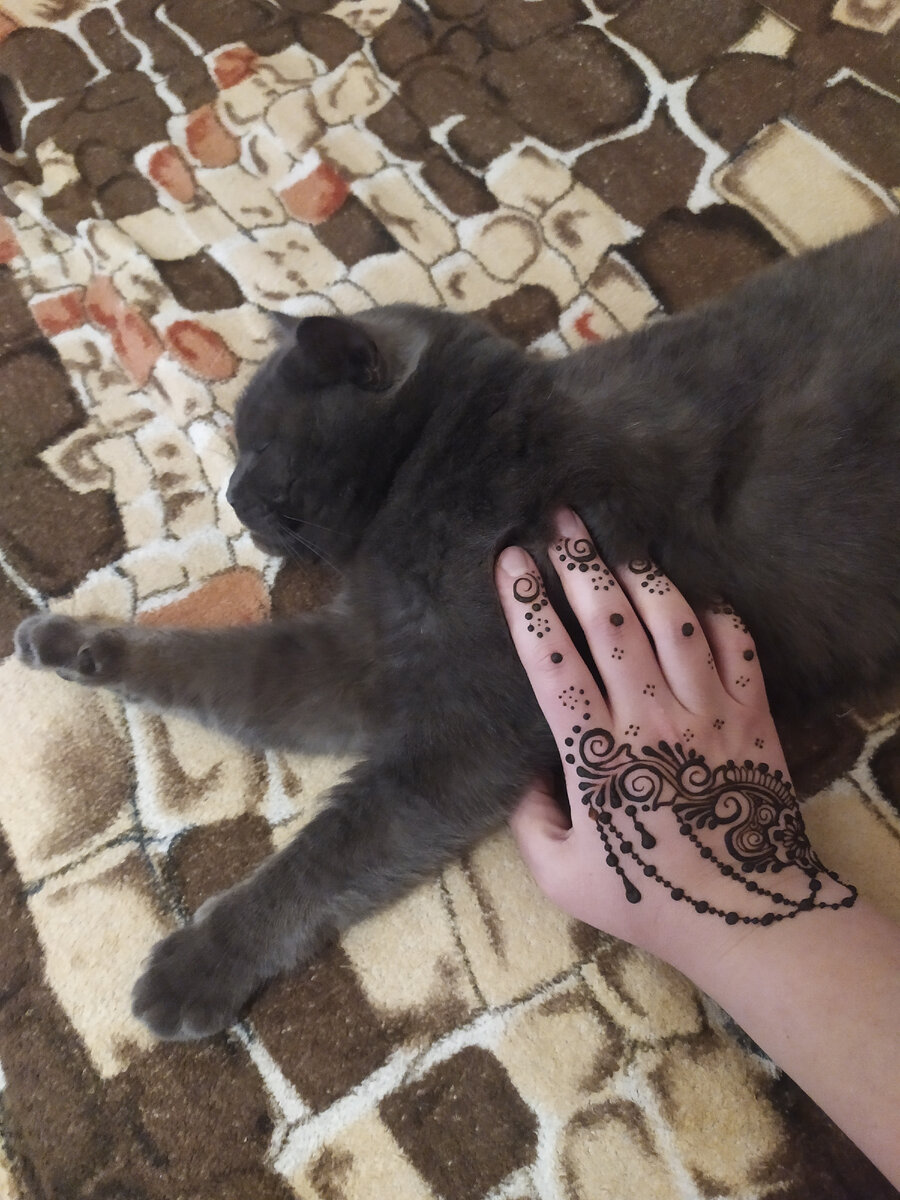Мехенди и котик)))