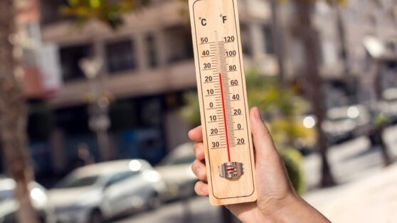    Температурные рекорды установлены более чем в 40 населенных пунктах РФ Ирина Петрова