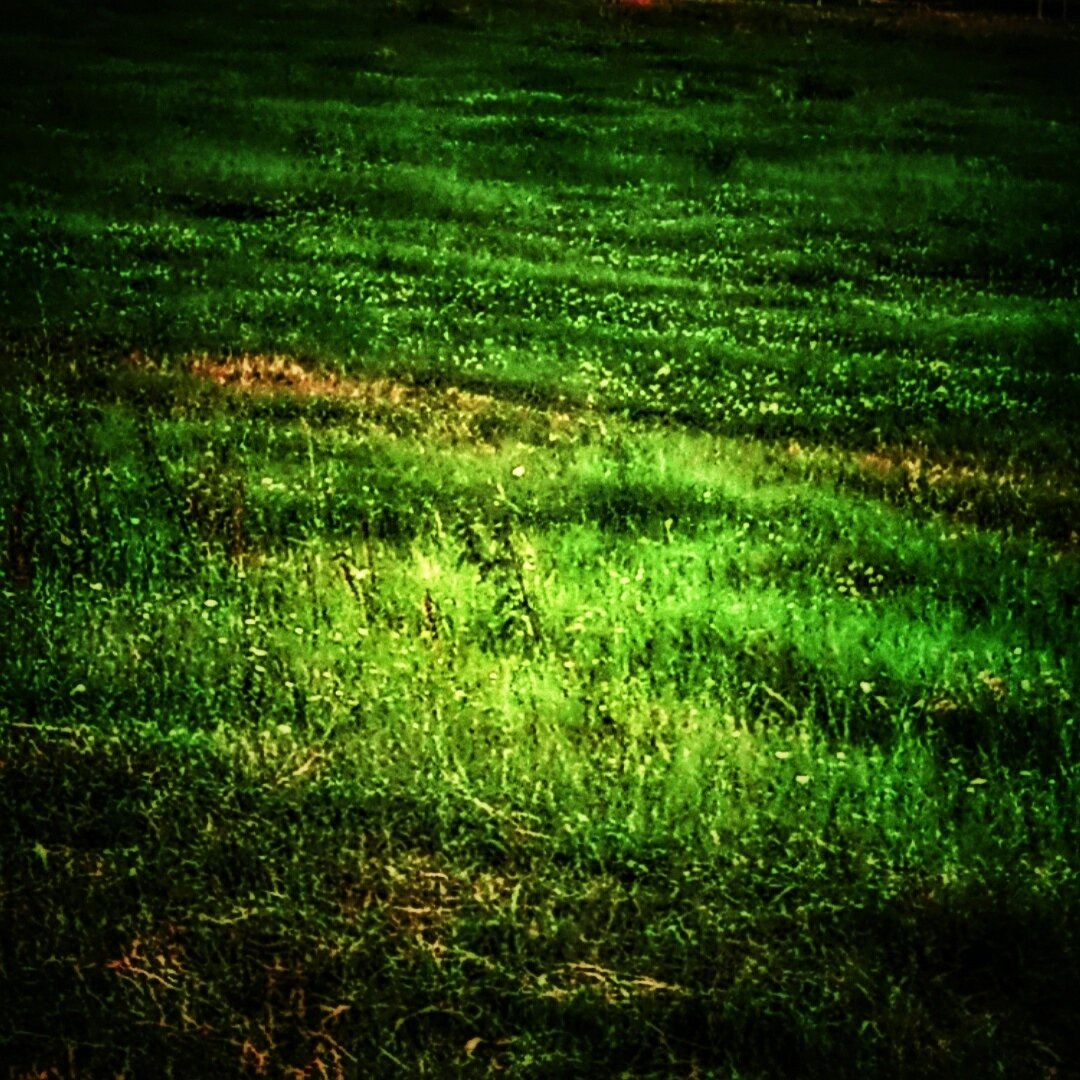 Какие корни - такие и всходы. Мы в силах искоренить болезнь и дать рост здоровью...