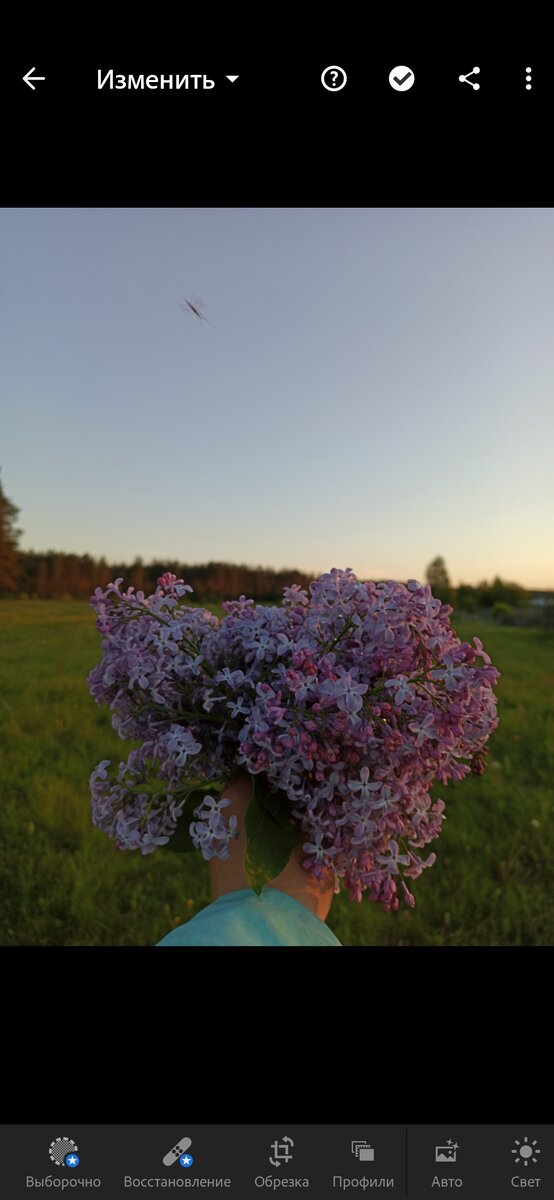 Приложение Lightroom