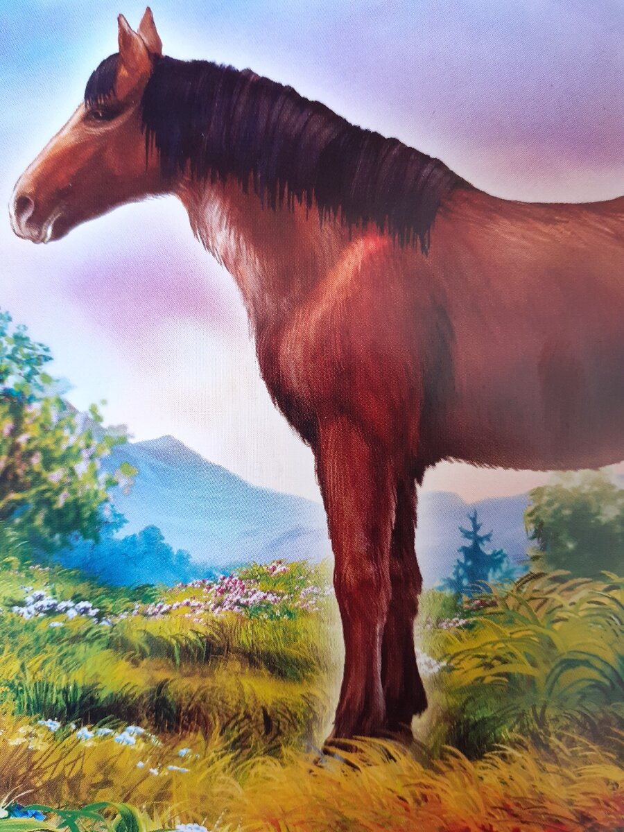 Исчезнувший вид - тарпан