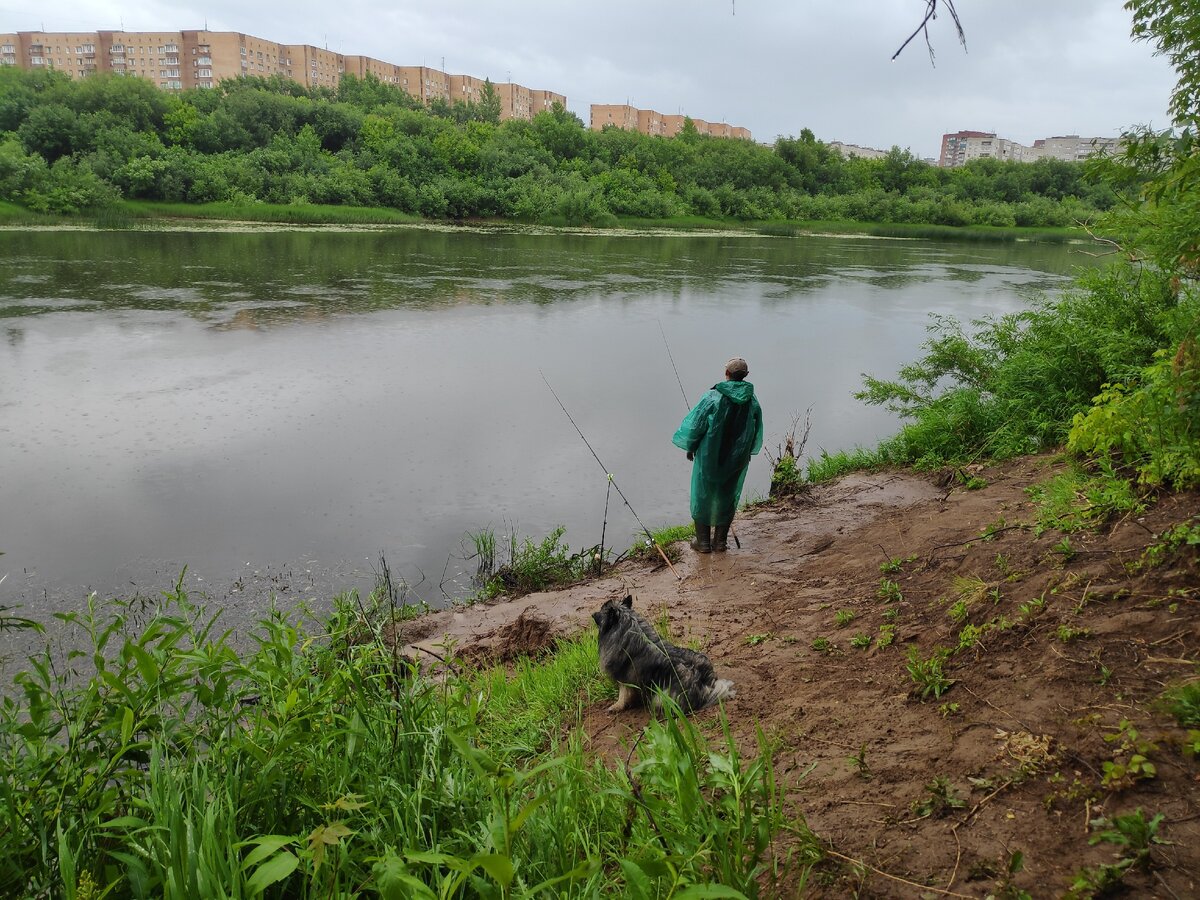 27.06.2020 на рыбалке (фото автора)