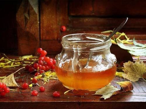 
Сначала протёртые ягоды смешивают с жидким мёдом. Получившуюся массу необходимо процедить через марлю, которую предварительно заворачивают в несколько слоев