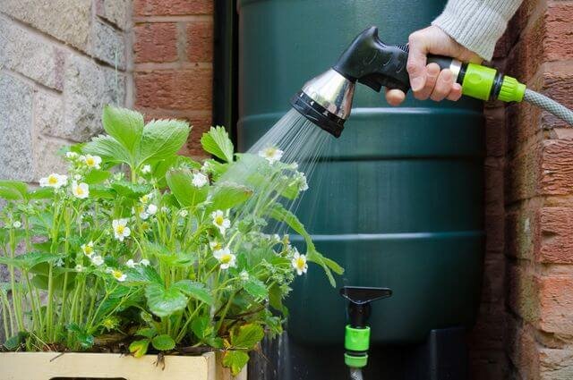 Источник megaogorod.com