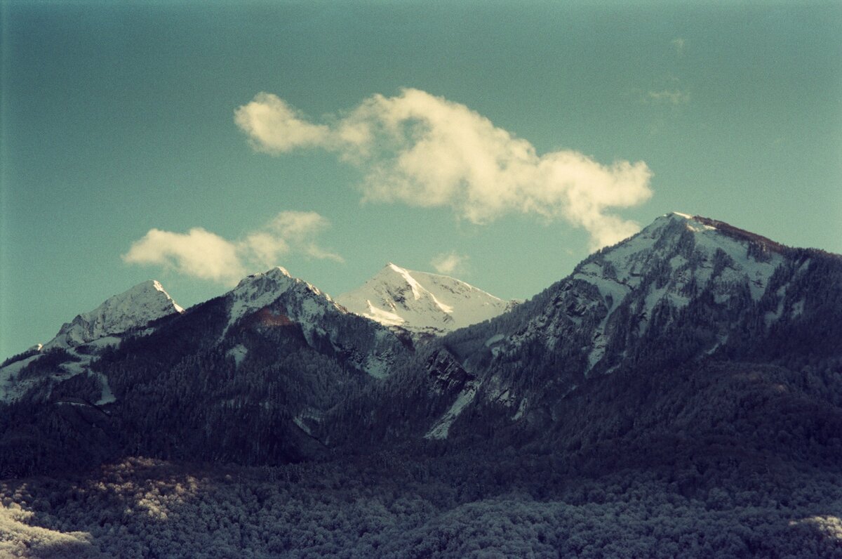 фотограф Максим Прохоров