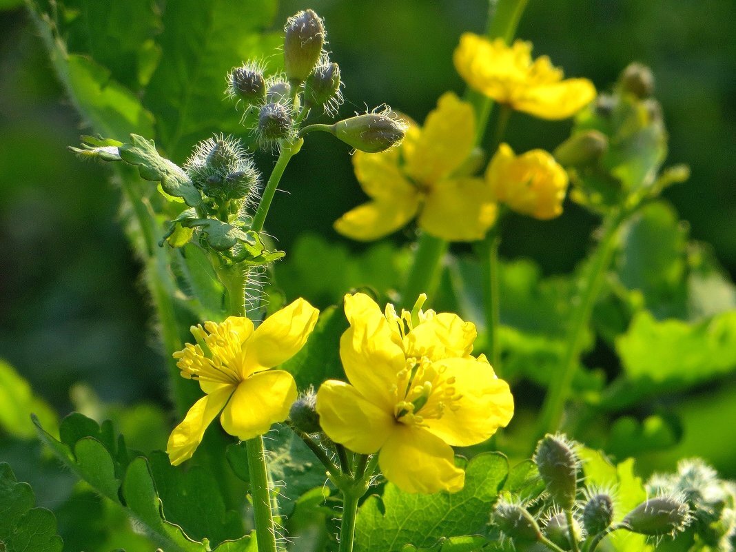 Взято с yandex.ru/images/