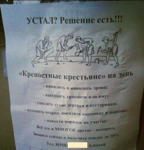 Фото взято из открытого доступа.
