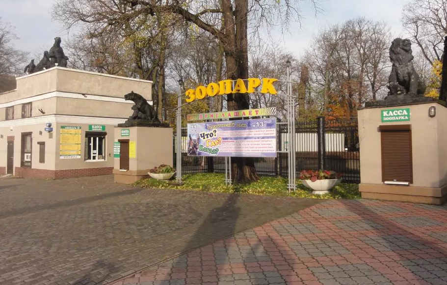 Зоопарк калининград старые