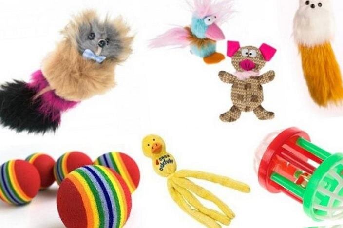Интерактивные игрушки для активных кошек | gkhyarovoe.ru