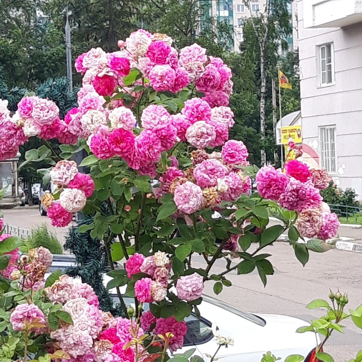 Счастье в моменте