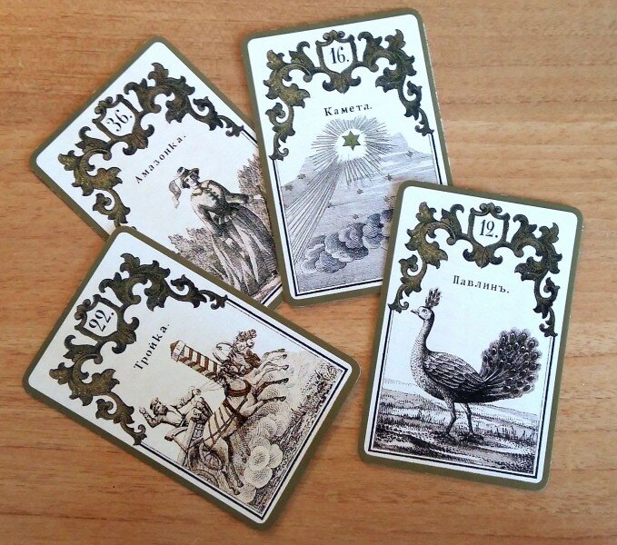 Фото из открытых источников 