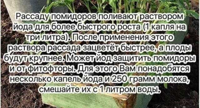 шпаргалка из интернета