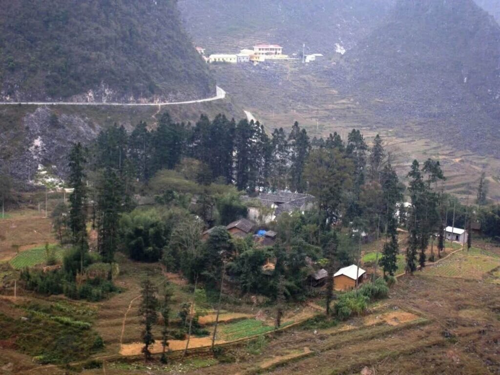 Дом окружен кипарисами