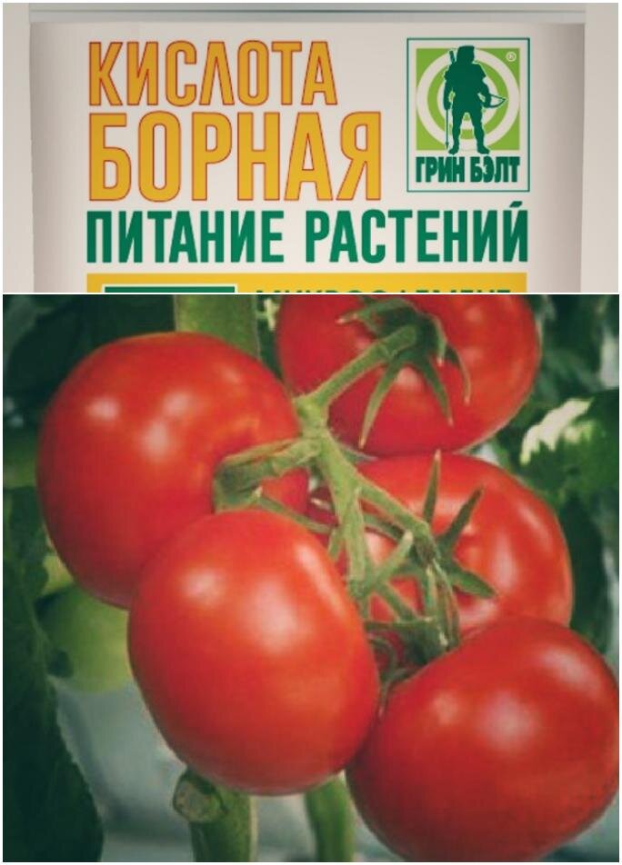 Как подкормить помидоры борной. Удобрения для повышения урожайности томатов. Обработка томатов борной кислотой во время цветения.