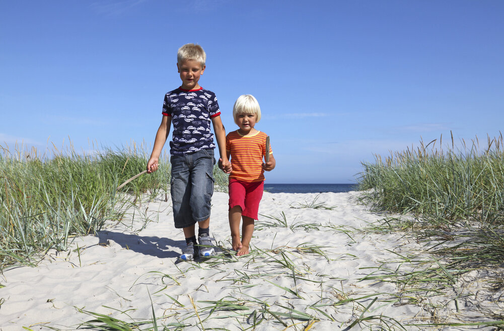 старший и младший брат. три ребенка. старшие символисты и младосимволисты. разница между старшим и младшим. старшие и младшие дети.