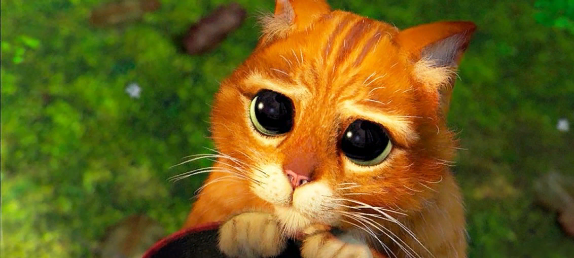 Кадр из мультфильма "Шрек"/  Dreamworks Pictures