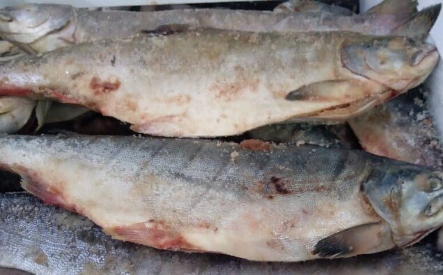 Изображение взято с сервиса Яндекс-картинки