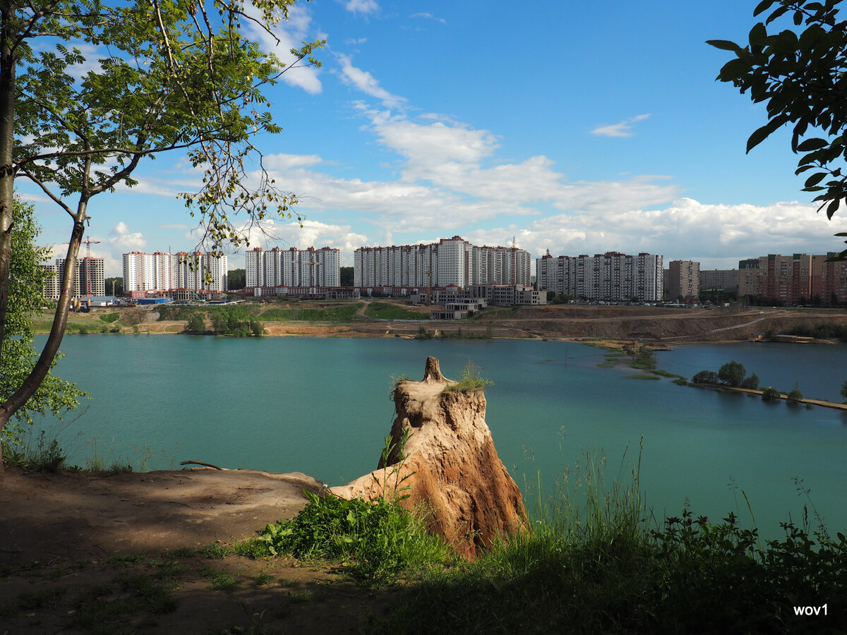 Все плюсы загородной жизни: новый проект в Подмосковье у лесопарка и  водоема (свой пляж!) | Новострой-М: новостройки Москвы | Дзен