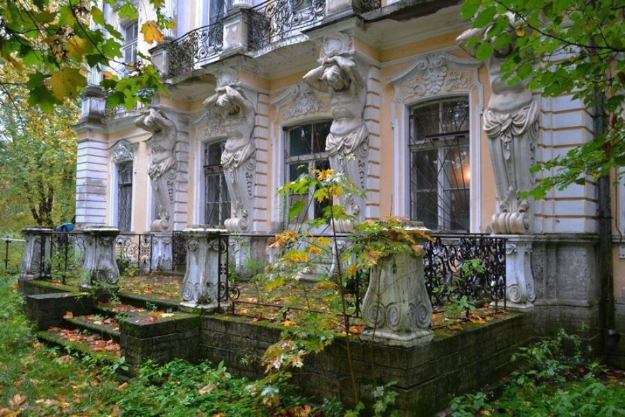 Дачи санкт петербург