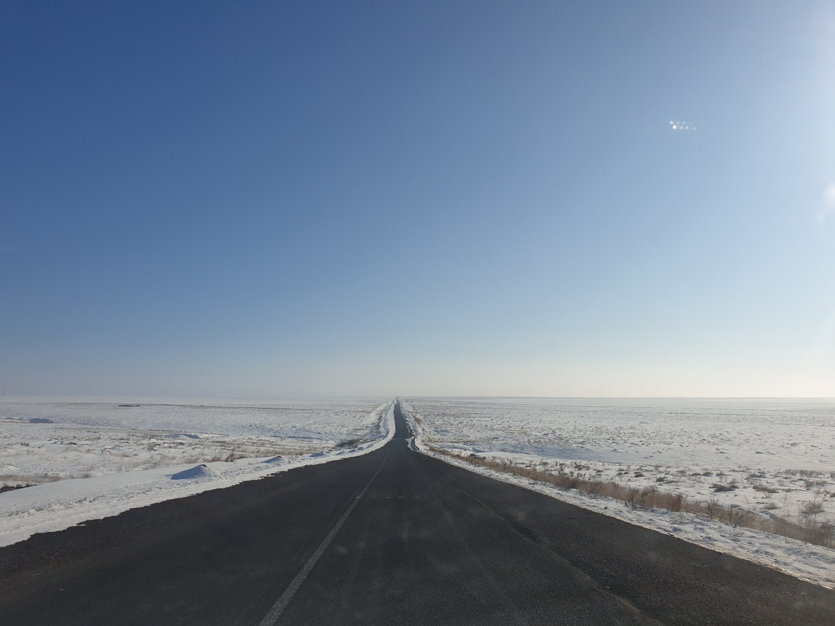 Мир без людей(