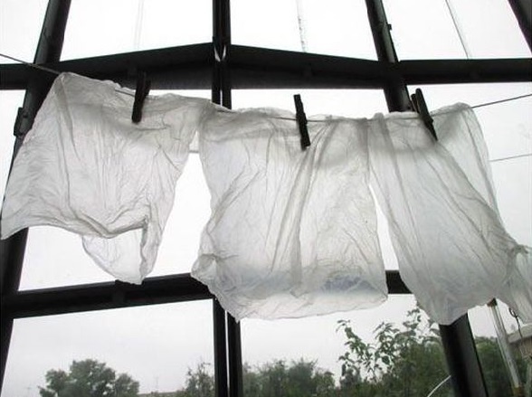 Фото взято из поисковой системы Google