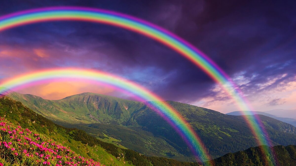 Фотографии из открытых источников