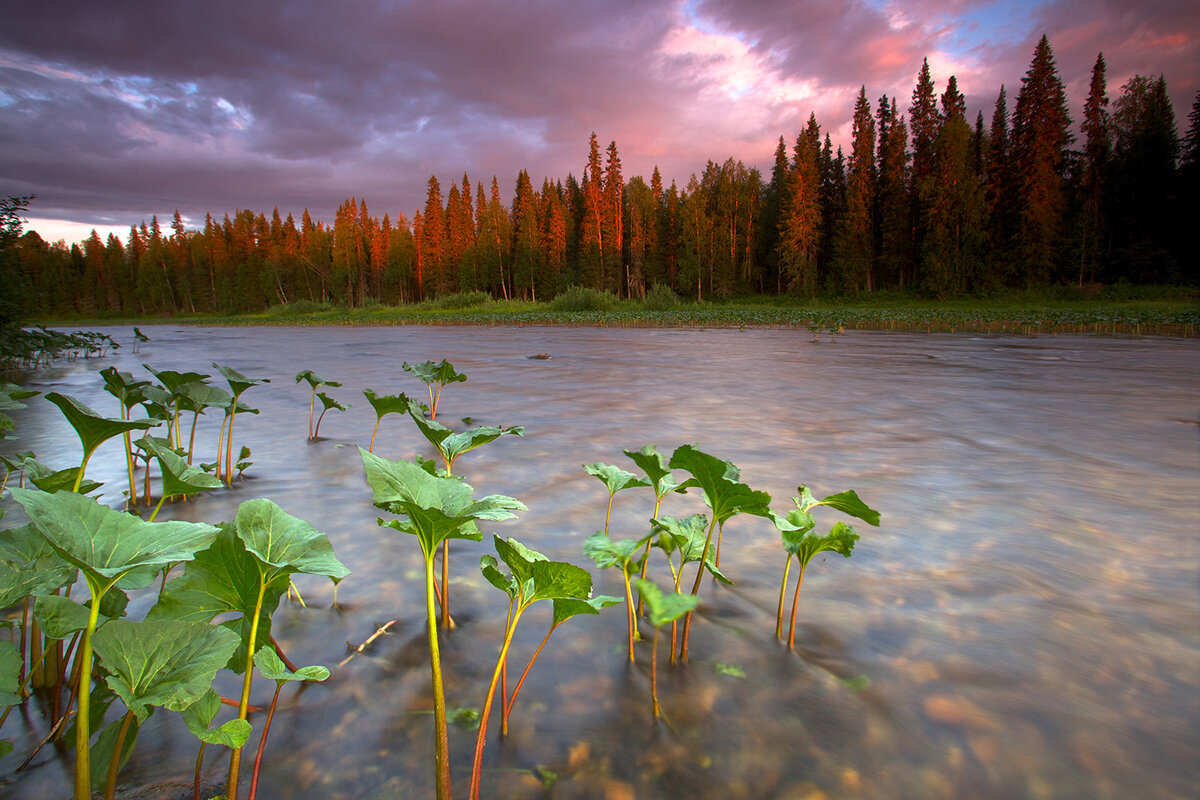 Верховья реки