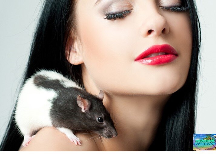 Фото добавлено с Яндекс.картинки